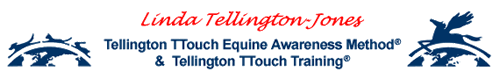 Tellington Touch